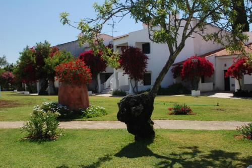 Pedras Del Rei Studio Tavira Bagian luar foto